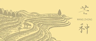 芒种麦田暖色线条公众号首图