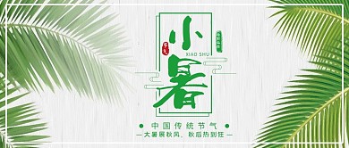简约绿色清新小暑公众号封面设计