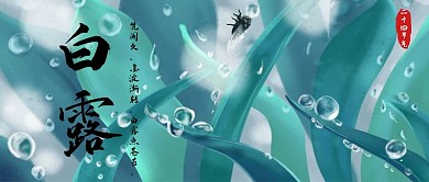 二十四节气之白露微信公众号首图
