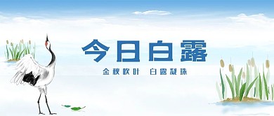 白露鹤 芦苇蓝色简约公众号首图