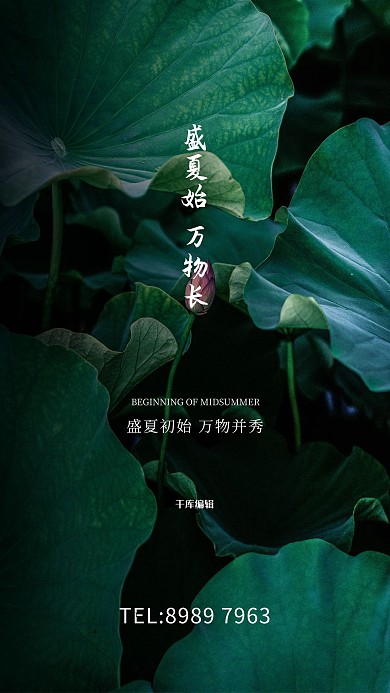 立夏荷花荷叶绿色写实海报