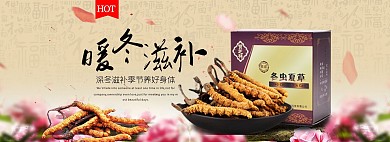 中国风冬虫夏草淘宝养生食品保健品全屏海报