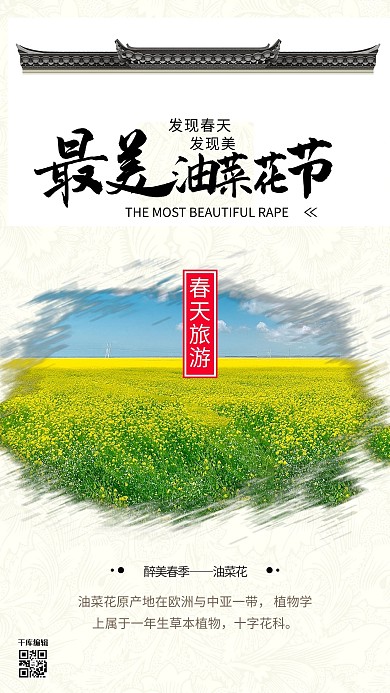 春天油菜花季白色创意海报