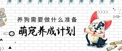 萌宠狗白色卡通手机配图