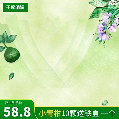 绿色清新小青柑茶叶淘宝主图