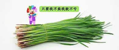 基金理财韭菜小丑白色搞笑公众号首图