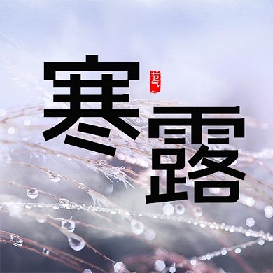 二十四节气寒露浅色简约大字公众号次图