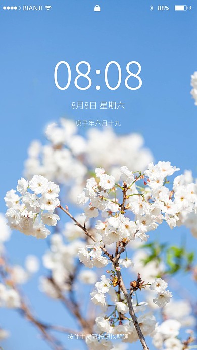 浪漫的樱花春天花公园赏花摄影图配图壁纸