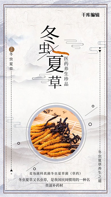 冬虫夏草摄影图灰色古风海报