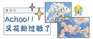 花粉过敏预警蓝色文艺小清新公众号首图
