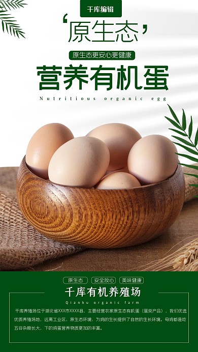 有机鸡蛋鸡蛋绿色简约详情页