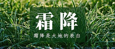 霜降绿草绿色简约风公众号首图