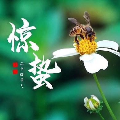 二十四节气惊蛰绿色大字吸睛公众号次图