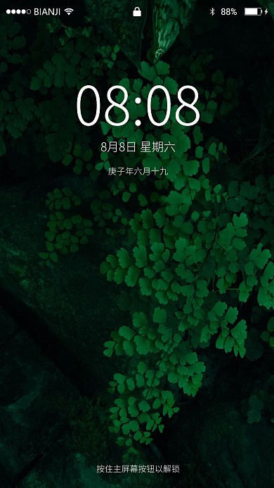 清新植物手机壁纸