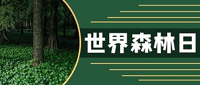 世界森林日森林绿色商务风公众号首图