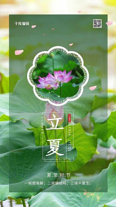 立夏荷花绿色简约海报