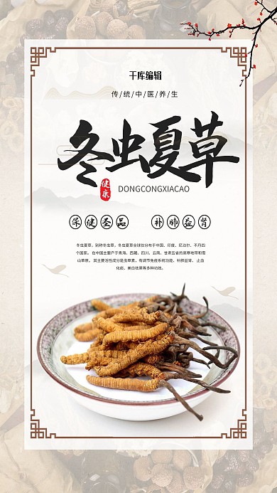 医疗保健冬虫夏草白色中国风海报