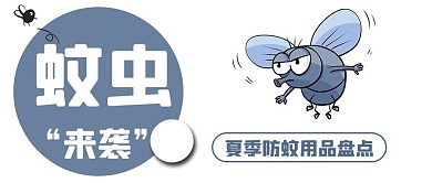蚊虫文字雾蓝色简约公众号首图