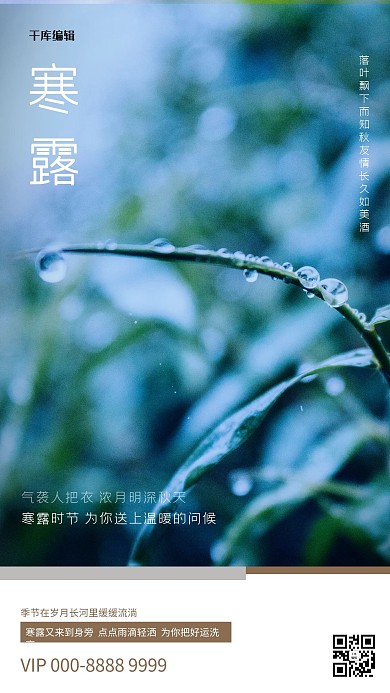 寒露叶子蓝色创意海报
