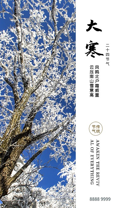 大寒大寒白色简约海报