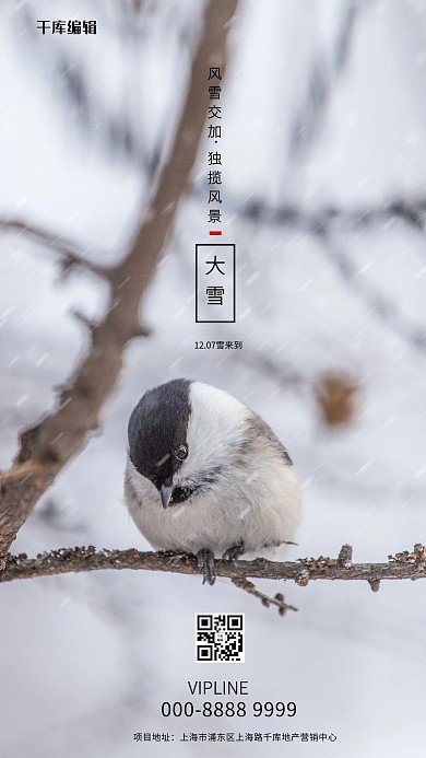 大雪麻雀灰色创意海报