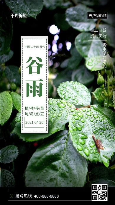 二十四节气谷雨草叶绿色 简约海报