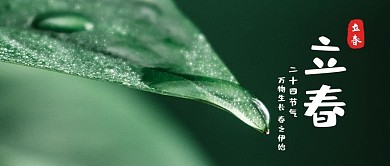 立春绿叶水滴绿色摄影风公众号首图