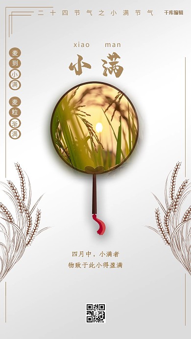 小满节气摄影图灰色简约海报