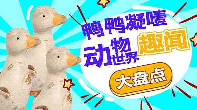 鸭鸭凝噎动物世界趣闻大盘点鸭子蓝色卡通横版视频封面