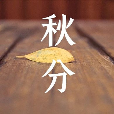 秋分叶子黄色简约公众号次图