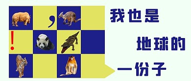 保护珍稀动物珍稀动物彩色简约公众号首图