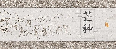 芒种公众号首图稻子灰色中国风芒种公众号首图