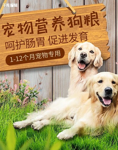 宠物用品绿色简约电商banner
