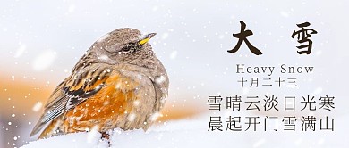 大雪雪花彩色摄影图公众号首图