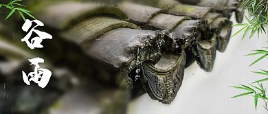 谷雨节日节气下雨绿色公众号首图