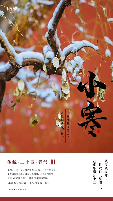 小寒雪红色写实海报