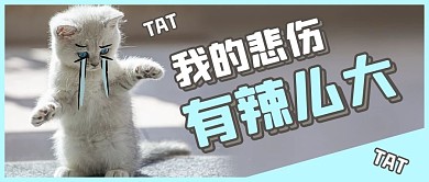 我的悲伤有辣么大猫咪灰色卡通公众号首图