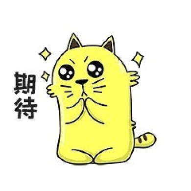 猫咪期待表情包
