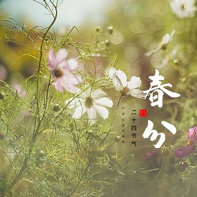 春分小花绿色摄影风公众号次图