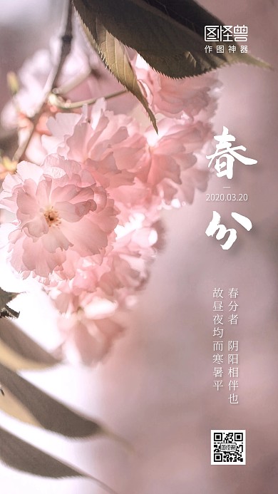 创意清新花卉春分节气手机海报