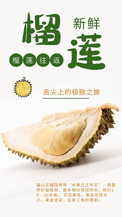 新鲜榴莲水果清新简约介绍照片相册写真