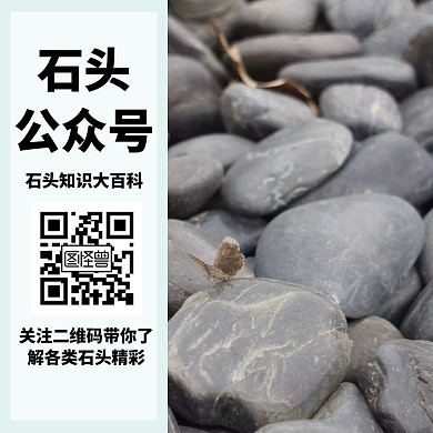 石头公众号二维码简约公众号配图