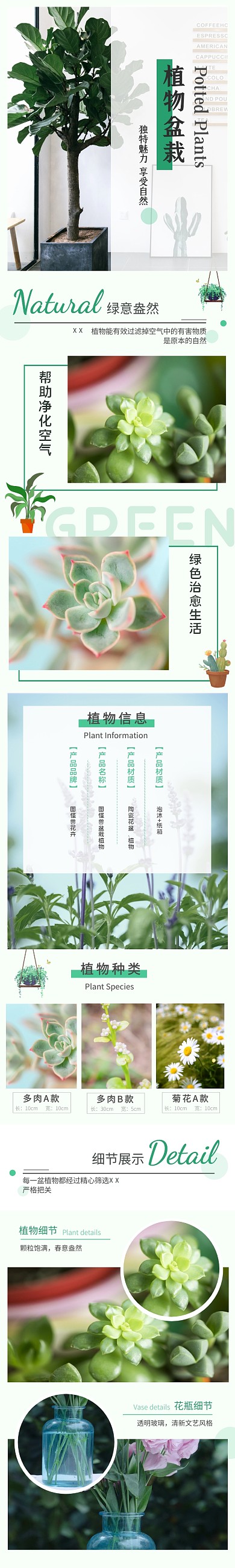 盆栽植物电商淘宝小清新绿色详情页