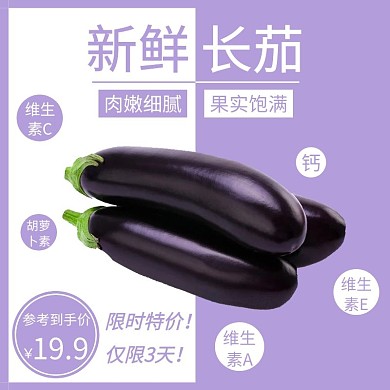 简约紫色新鲜长茄直通车主图