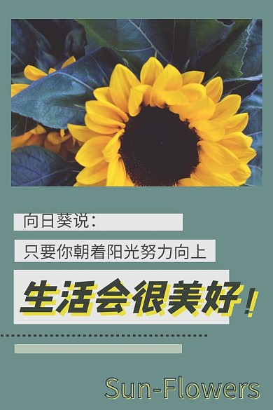 向日葵 高级灰 蓝绿 高级 植物