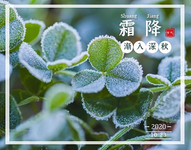 霜降节气问候新媒体拼图
