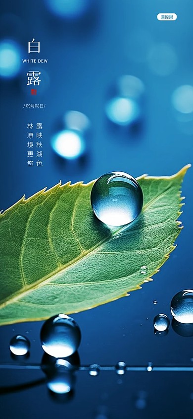 白露传统节日节气祝福全屏海报