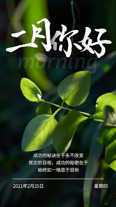 二月你好励志摄影简约绿色日签