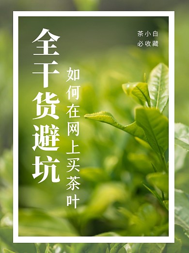 茶叶避坑指南干货小红书封面配图