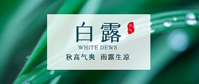 白露节气公众号封面首图